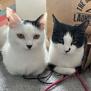 Bruce and Olive