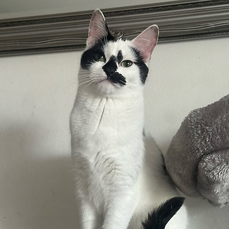 Smudge