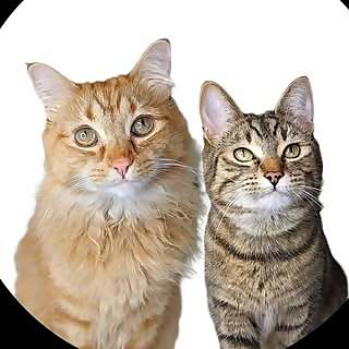 Gingi & Luna
