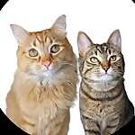 Gingi & Luna