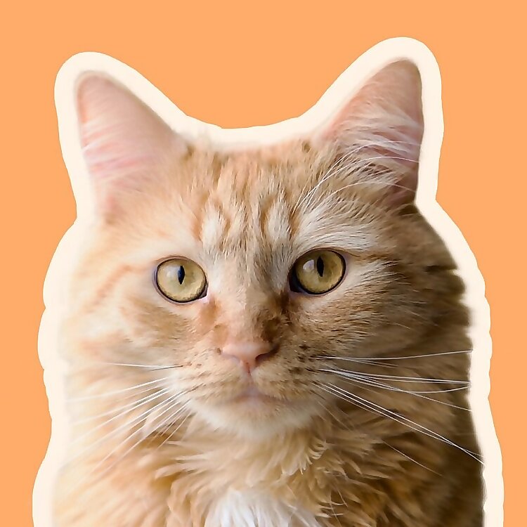Oh Charlie Cat 