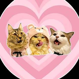 Mautuiti, Yukikato & Moshi