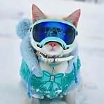 Olaf 