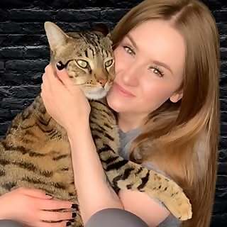 Dexter, F6 Savannah Cat