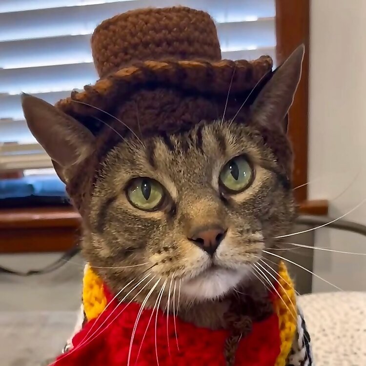 Chance the Catter