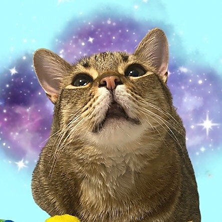 Moosh