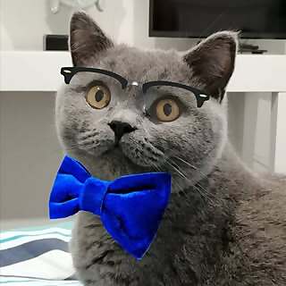 George 