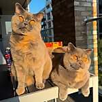 Margo & Lola