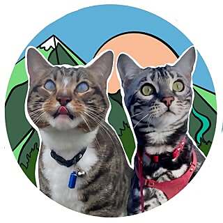 Bongo & Fifi