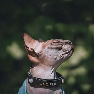 Lucifer