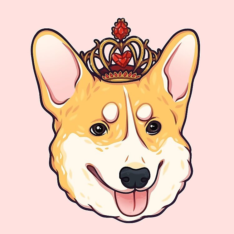 Corgi Bulka