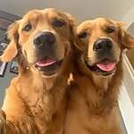 Fredrick & Royston