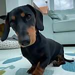 Hugo