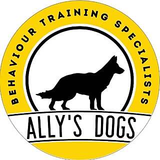 Ally