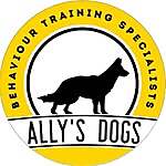 Ally
