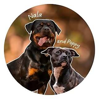 Nala