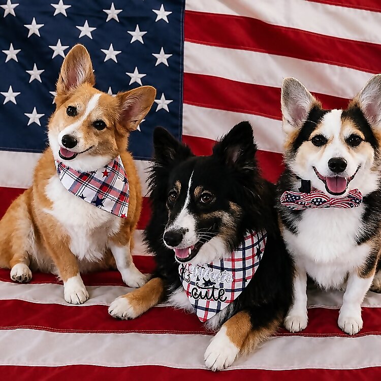 Panda, Piper & Presley