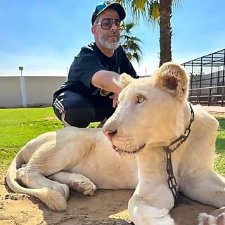 Hussain Boqrais