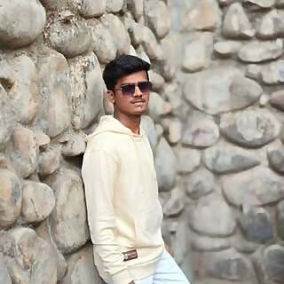 Ashish Narayankar
