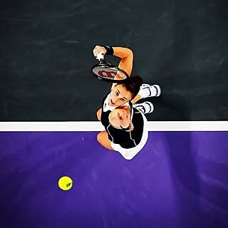 Petra Martic