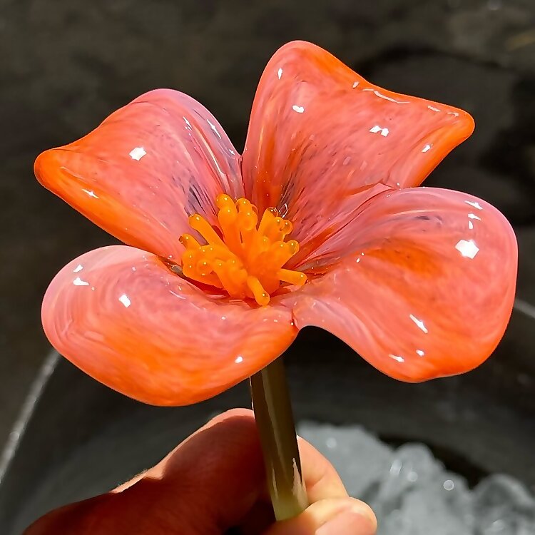 Bay Blown Glass
