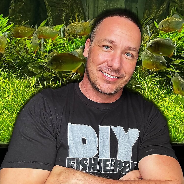Joey Mullen