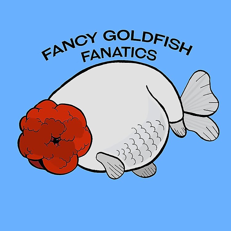 Fancy Goldfish Fanatics