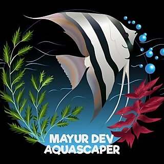 Mayur Dev 