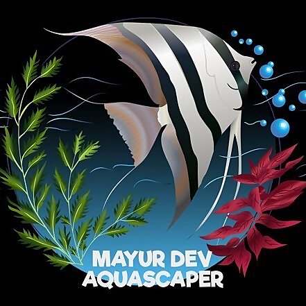 Mayur Dev 