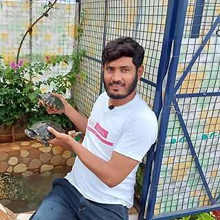 Syed shah