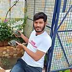 Syed shah