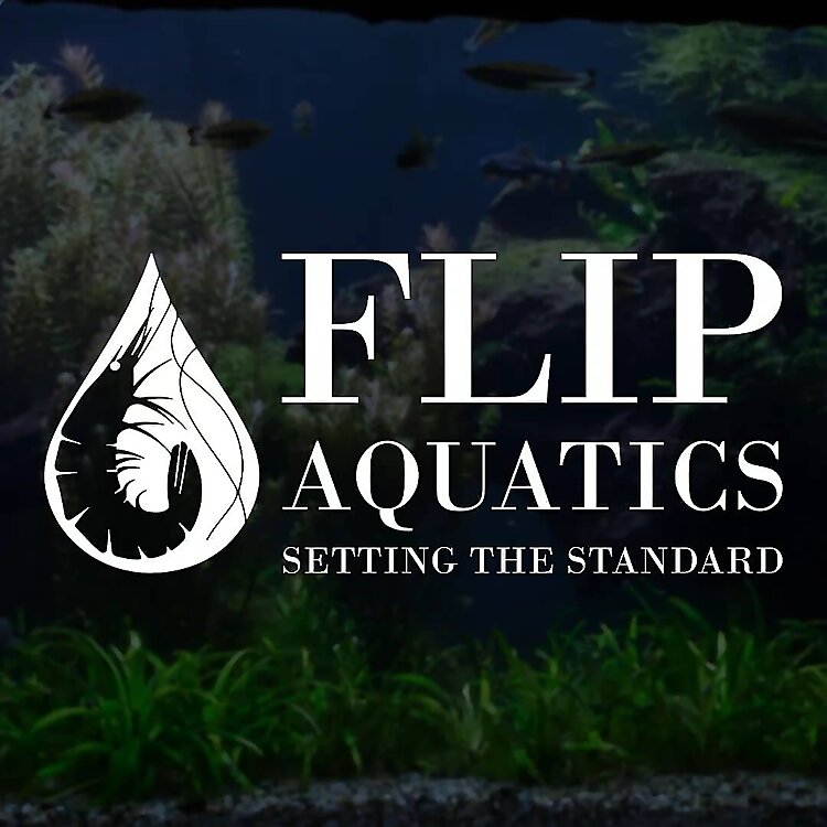 Robert & Amanda Lupton