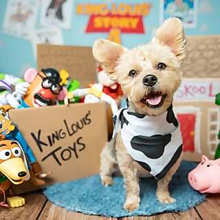 King Louis