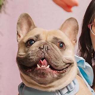 Mochi
