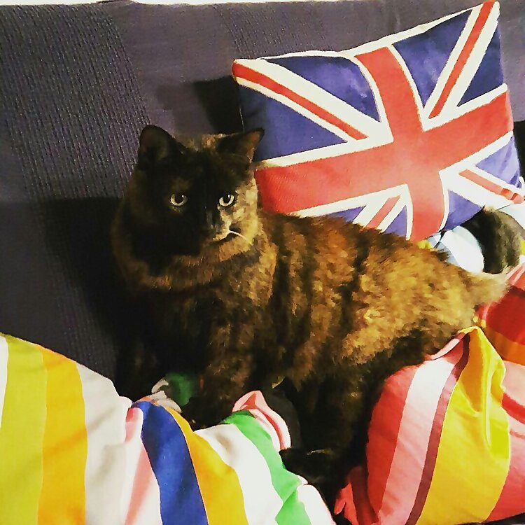Tina