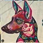 Senkoe