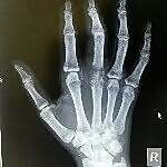 Dr. Mariam Habib Ahmed