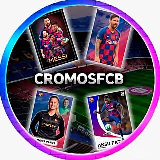 Collector of Soccer Cards