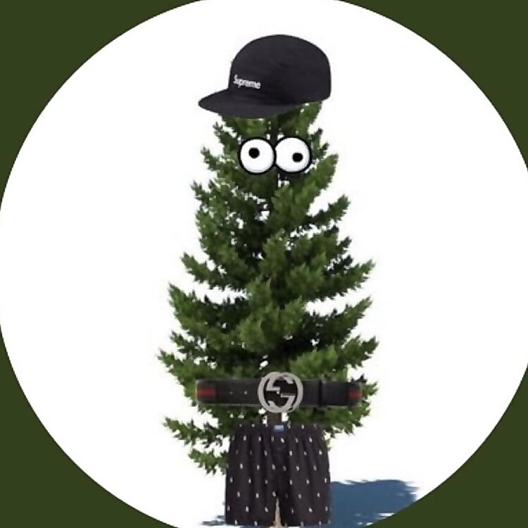 Competitive fortnite player