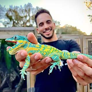 David Utrera