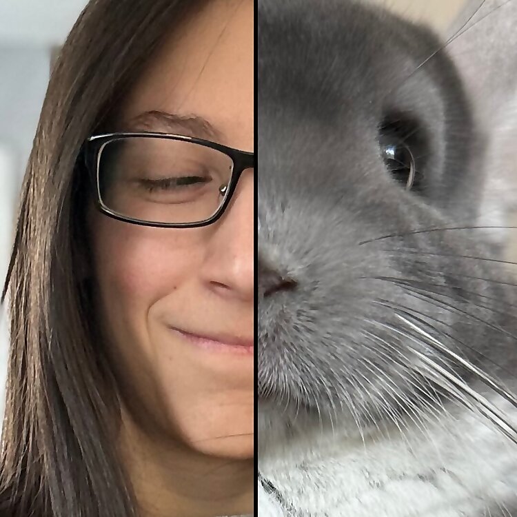 Chinpals