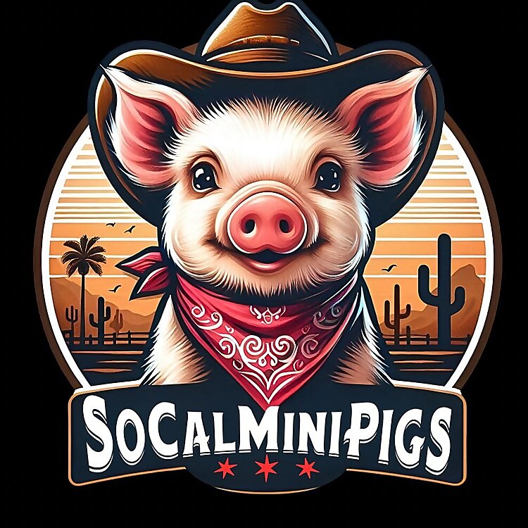 SoCalMiniPigs 