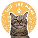 Chip The Manx