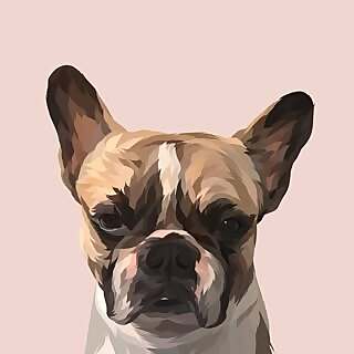 Costal Paws and Coffee