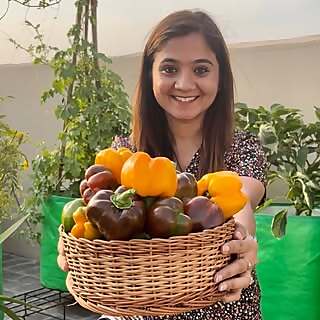 Poonam 