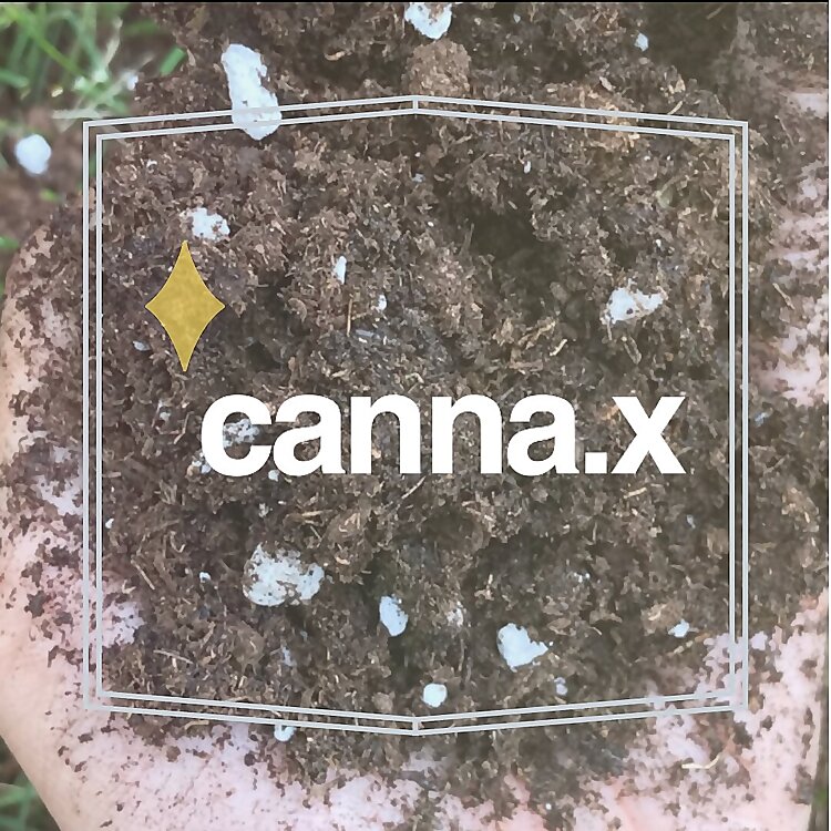 Cannabis Cultivator | Canna X