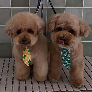 Chrissy Ellingson Rasmussen