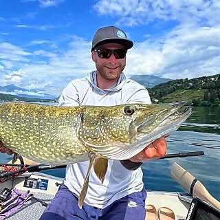 Michael Schipflinger