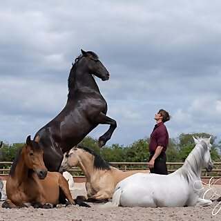 Benjamin Atkinson