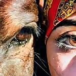 Heba Soliman